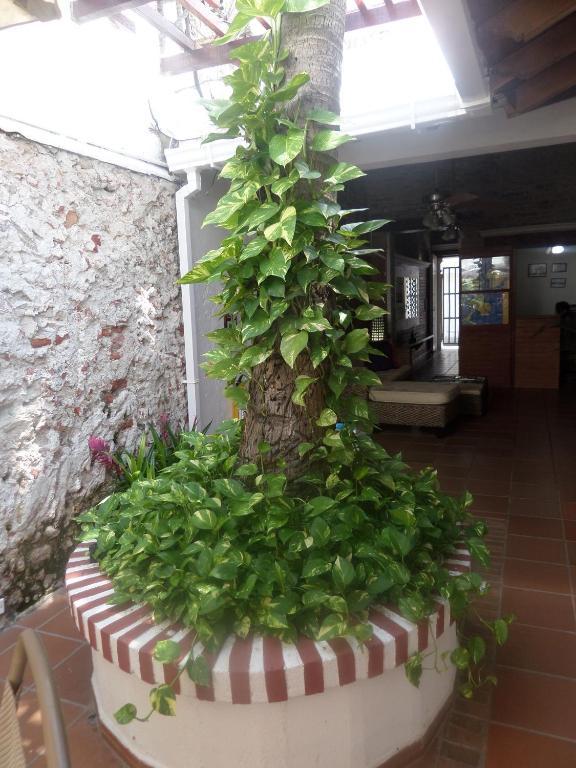Cartagena Hotel Casa Abril מראה חיצוני תמונה
